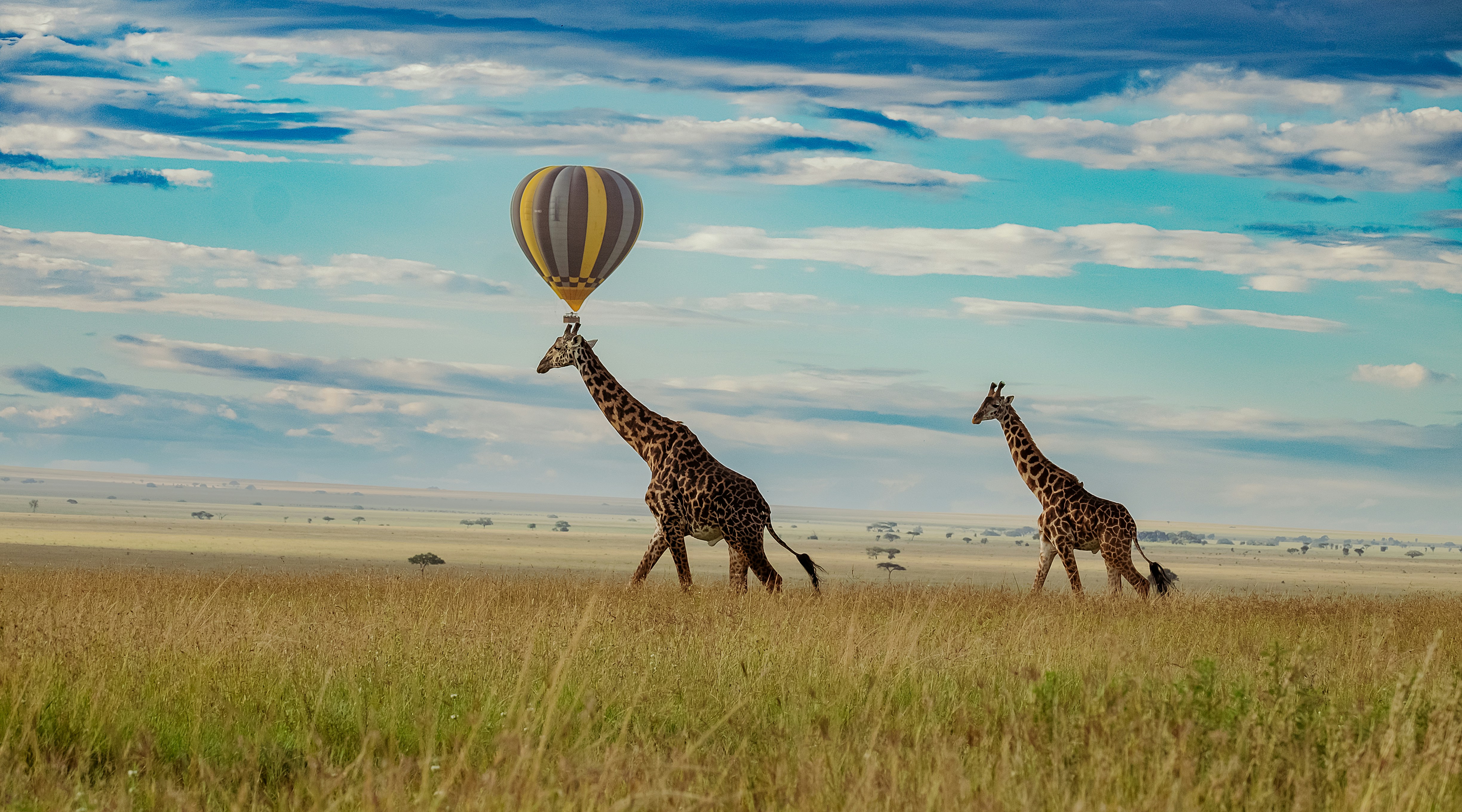 4-Day Serengeti, Tarangire & Ngorongoro